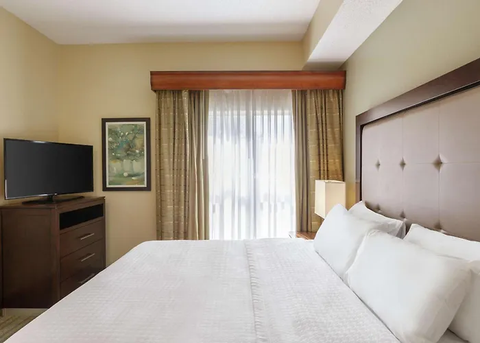 Homewood Suites By Hilton St. Petersburg Clearwater