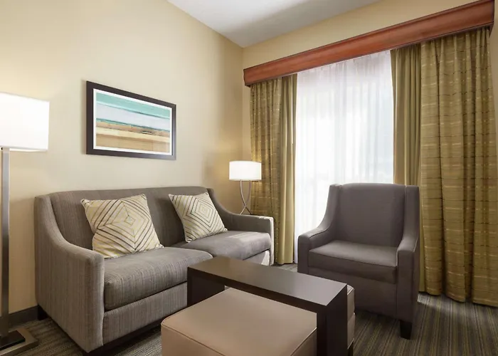 Homewood Suites By Hilton St. Petersburg Clearwater